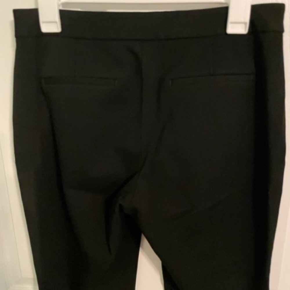 Express Columnist Dress Pants